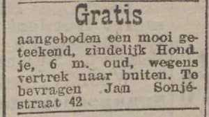 Artikel 'Gratis' uit  van  dec 
