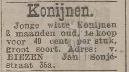 Artikel 'Konijnen' uit Rotterdamsch nieuwsblad van 14 feb 1910