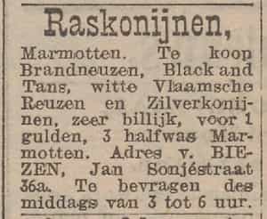 Artikel 'Raskonijnen,' uit Algemeen Dagblad van 1 mei 1970
