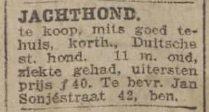 Artikel 'Jachthond' uit Algemeen Dagblad van 1 mei 1970
