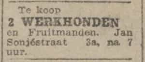 Artikel '2 werkhonden' uit Algemeen Dagblad van 1 mei 1970
