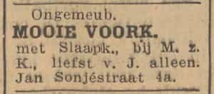 Artikel 'mooie voorkamer' uit Rotterdamsch nieuwsblad van 2 mei 1904

