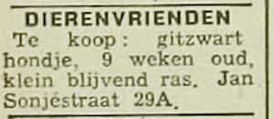 Artikel 'Dierenvrienden' uit  van  dec 

