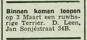 Artikel 'Flinke nette Jongen' uit Het Rotterdamsch parool van 6 feb 1964
