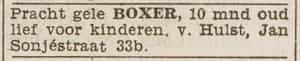 Artikel 'boxer,' uit Algemeen Dagblad van 8 apr 1982
