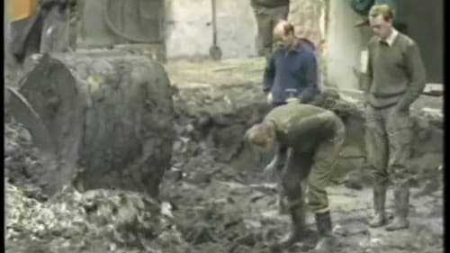 Artikel 'De ruiming van de Bellebom in 1988' uit  van  dec 
